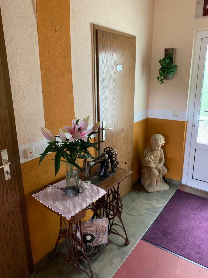 Pension Triebischtal マイセン エクステリア 写真